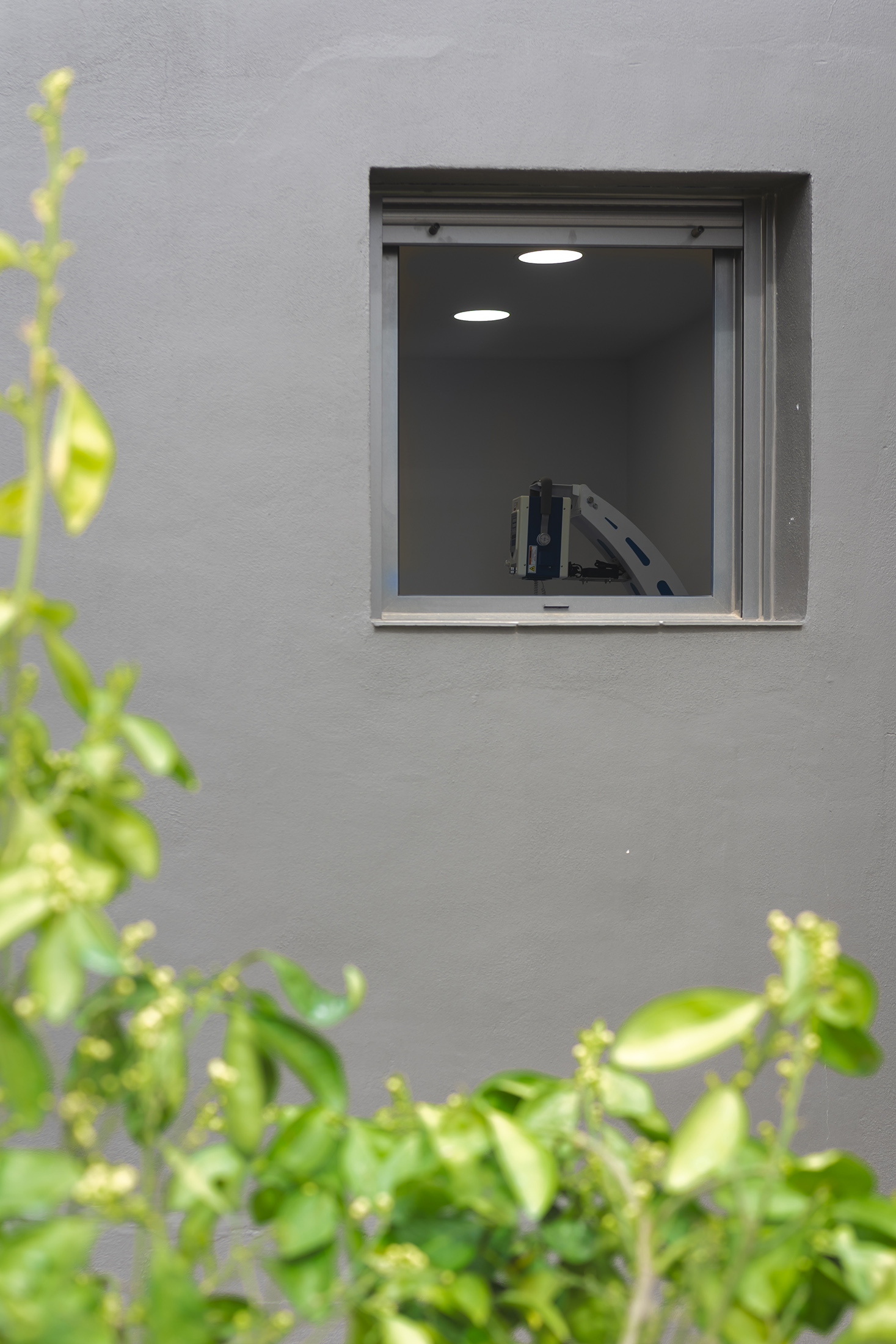 Detalle de la fachada exterior gris con una ventana y vegetación en primer plano